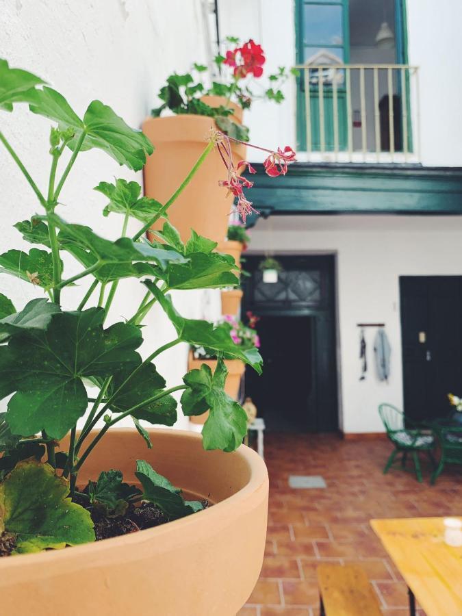 Maria Magdalena - Room 10 Málaga Exterior foto